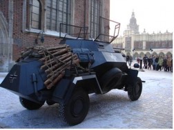 SDKFZ 222